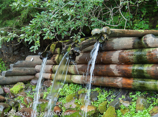 San Sergio di Radonez foto 1