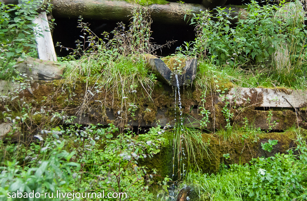 San Sergio di Radonez foto 11