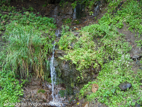 San Sergio di Radonez foto2