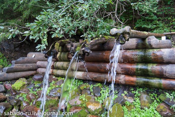 San Sergio di Radonez foto 8