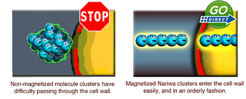 cluster acqua stop and go